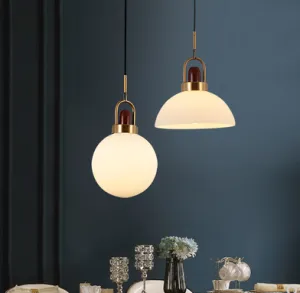 Eriksen Classy Sophisticated Glass Exterior Pendant Lamp