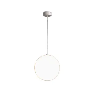 Focus Pendant Light