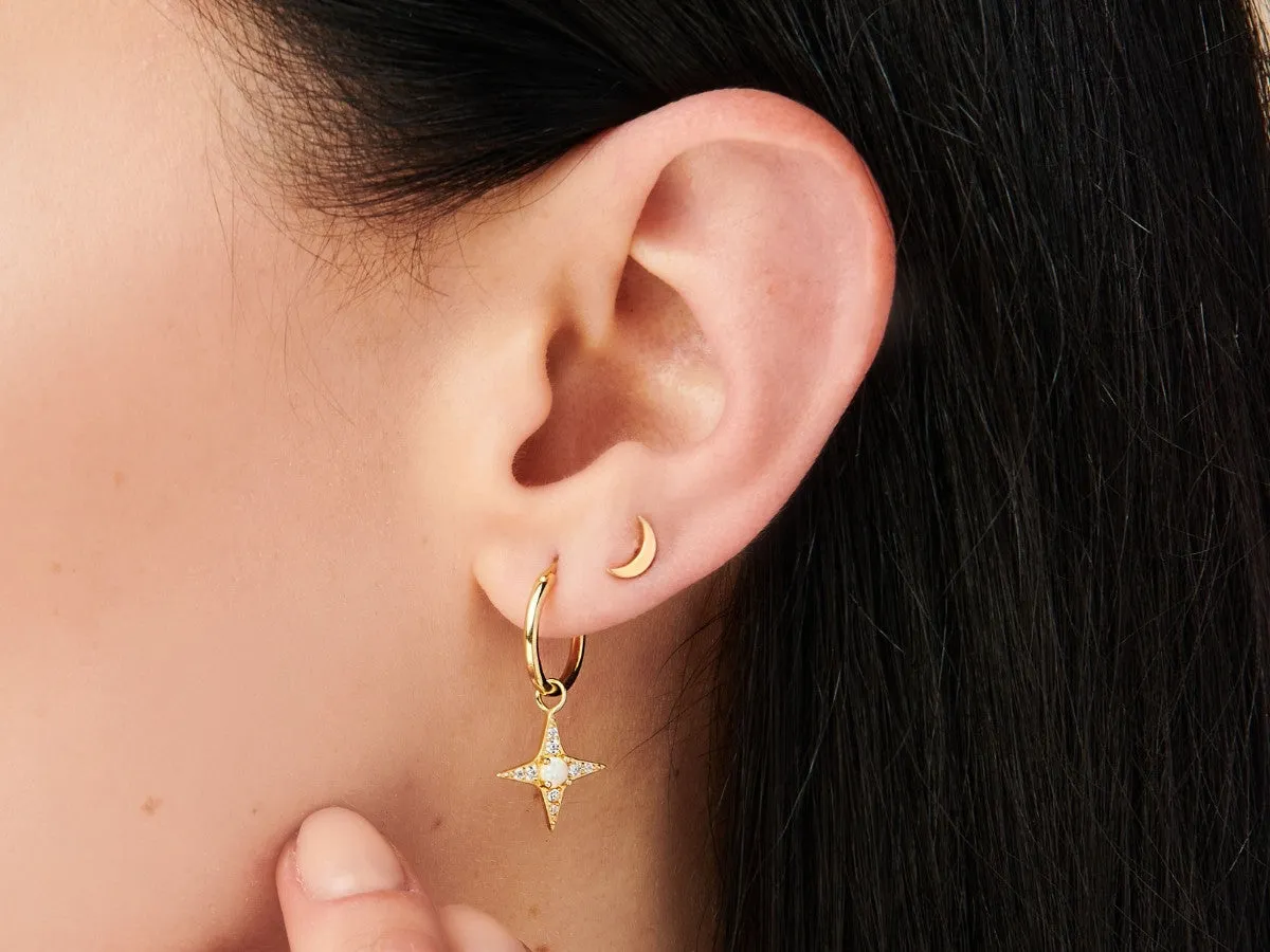 Star Opal Earrings Charm